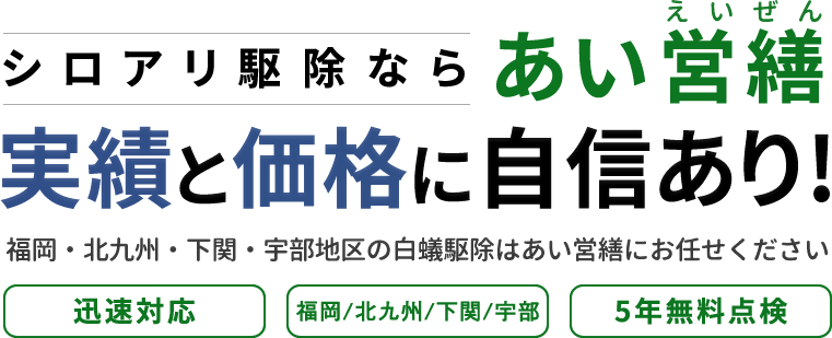 シロアリ駆除ならあい営繕 実績と価格に自信あり 福岡・北九州地区の白蟻駆除はあい営繕にお任せください 迅速対応 福岡・北九州 5年無料点検