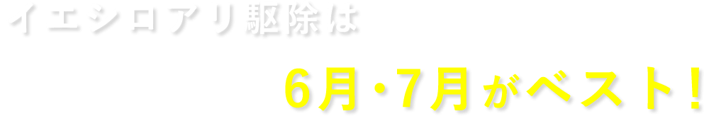 イエシロアリ駆除は6月・7月がベスト！