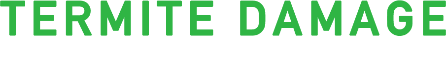 依頼前に自分でできるシロアリ発生のシグナル