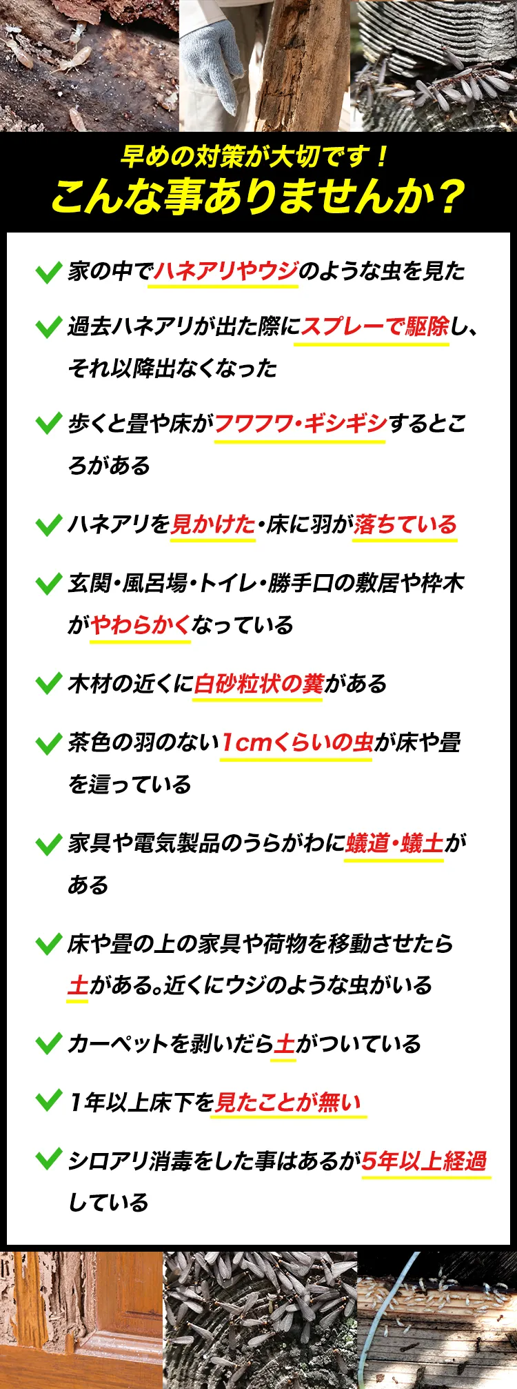 早めの対策が大切です！