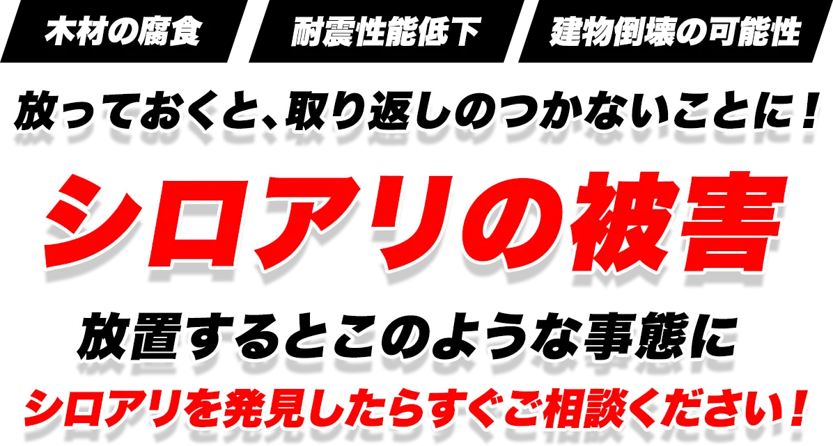 放っておくと、取り返しのつかないことに！シロアリの被害　放置するとこのような事態に　シロアリを発見したらすぐご相談ください！