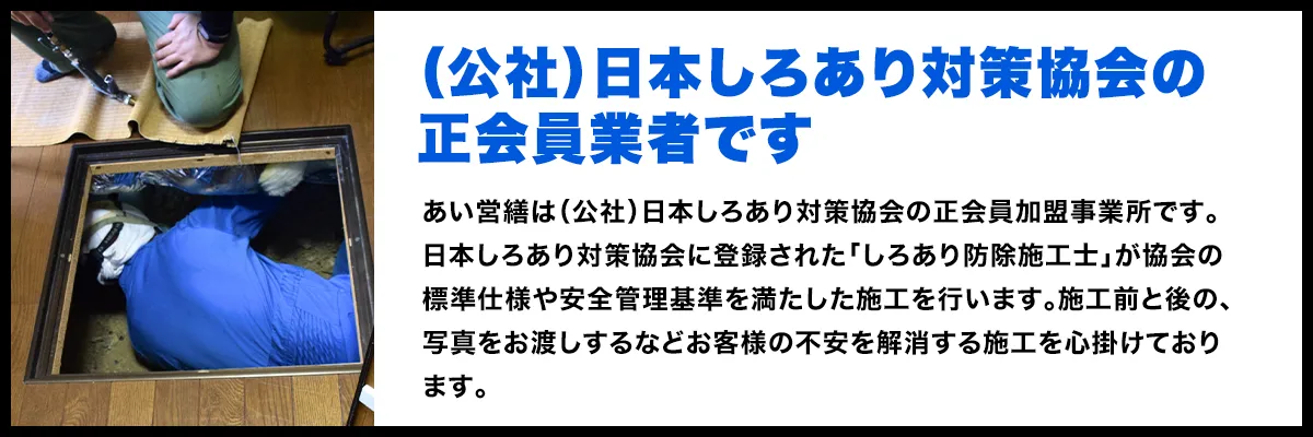 シロアリ駆除のプロが対応いたします