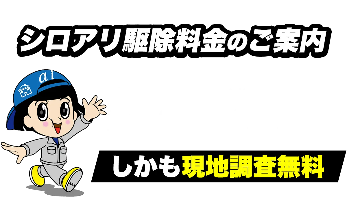 シロアリの駆除料金のご案内