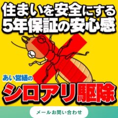 シロアリ駆除