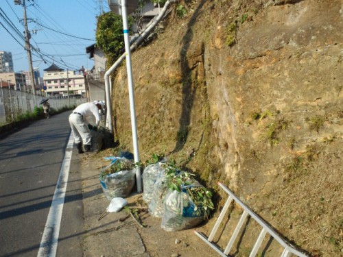 本日の仕事は白蟻調査と草むしりでした。