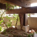 春の嵐の日でした