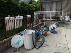 シロアリ リフォーム 福岡