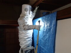 害虫・害獣駆除業者｜弊社(株)あい営繕が選ばれる理由