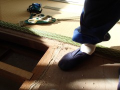 シロアリ リフォーム 福岡