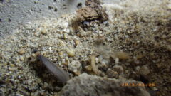 ご指名頂いたのは施工勧めないからですか？