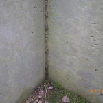 【田川市】白蟻消毒の施工見積りを