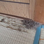 【北九州市】シロアリ駆除でリフォームを！