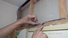 山口市 シロアリ