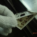 ゴキブリ駆除消毒を北九州市の飲食店様で