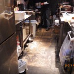 チャバネゴキブリの現地調査を北九州市小倉北区で