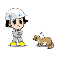 イタチ駆除 古賀市