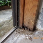 【福岡】シロアリでリフォーム！後悔しない駆除と修繕リフォーム
