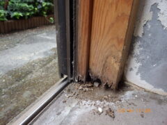 シロアリ リフォーム 福岡