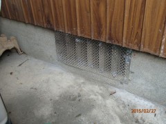 アライグマ駆除　大野城市