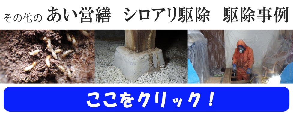 シロアリ駆除　事例