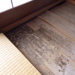 【粕屋郡】羽アリはお客様のおうちからでした。