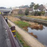 3月の朔日詣り