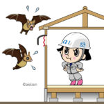 コウモリ駆除