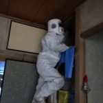 駆除業者がスズメバチについて知っておきたいことをまとめました