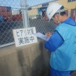 ヒアリの生息調査を門司区と若松区にて