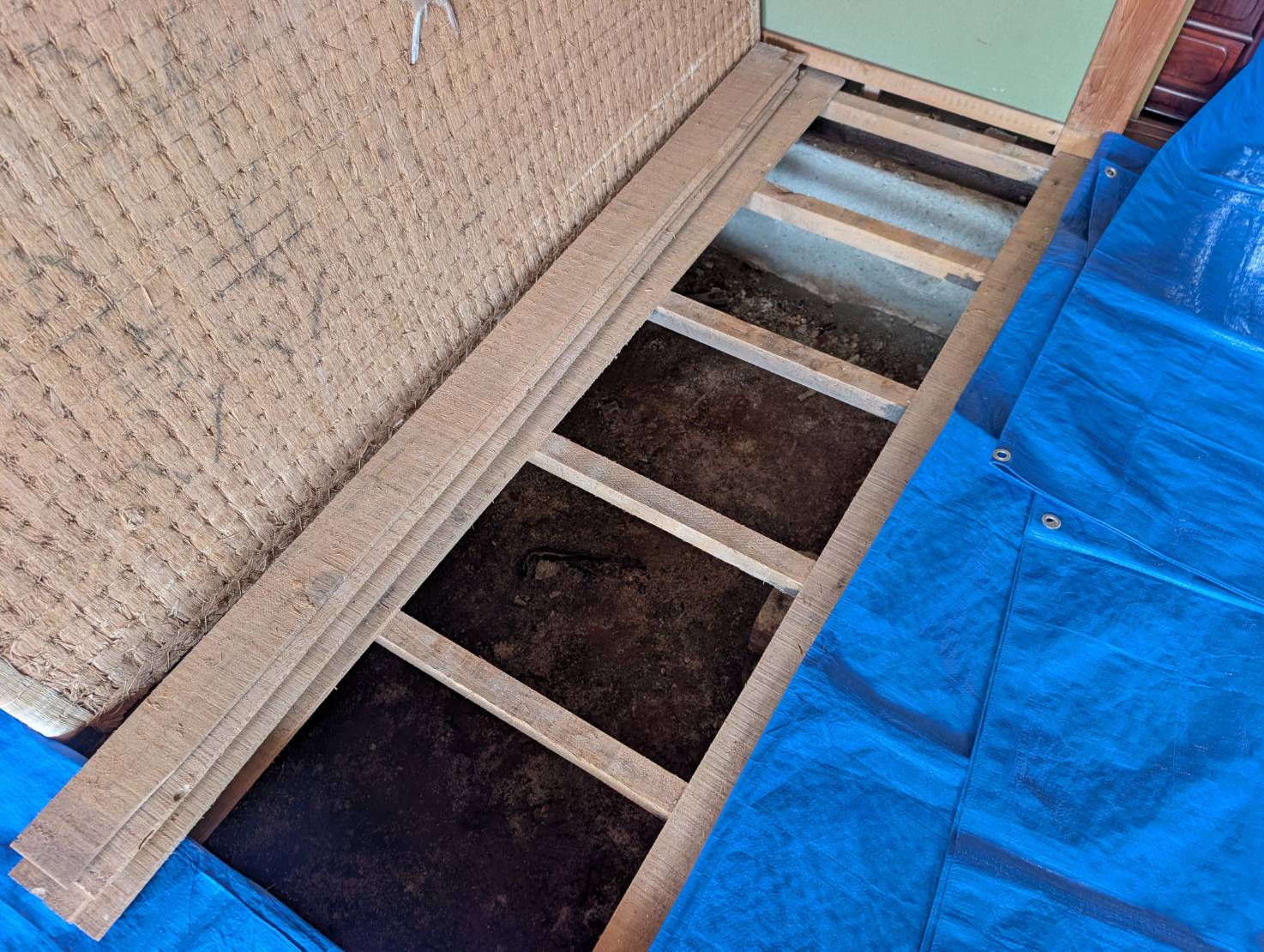 シロアリ駆除　八幡西区