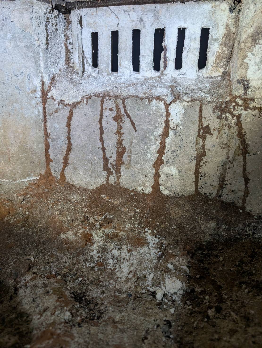 シロアリ駆除　八幡西区