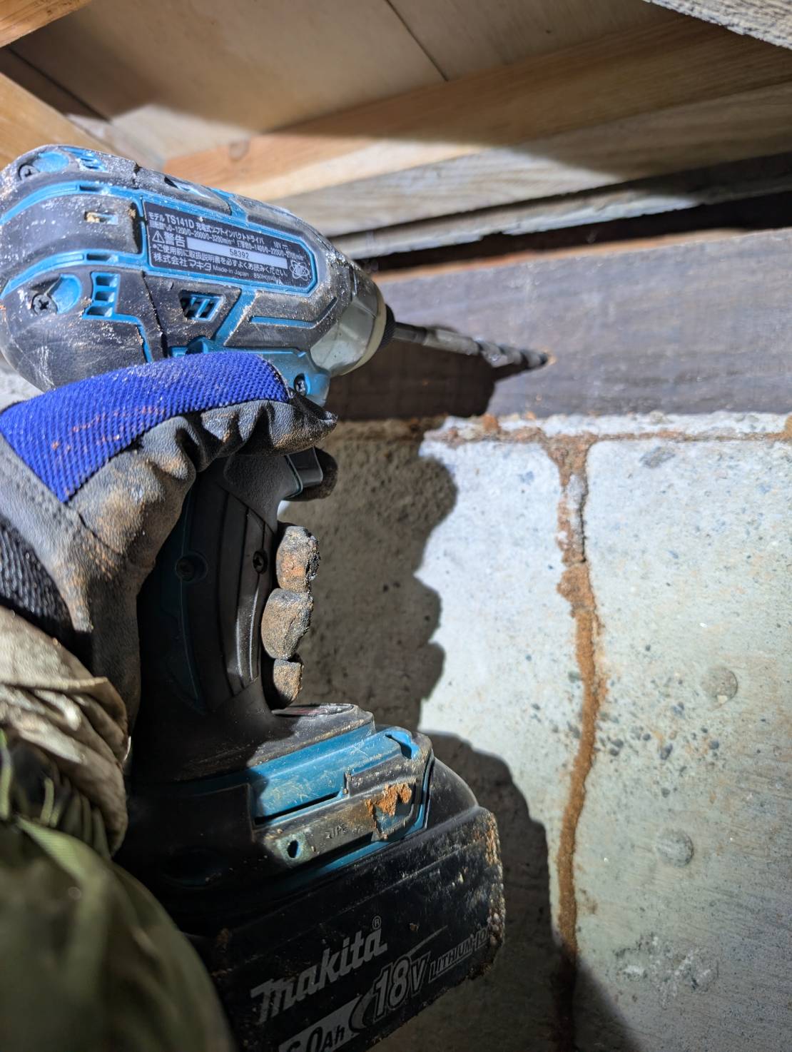 シロアリ駆除　八幡西区