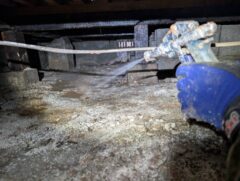 シロアリ駆除　八幡西区