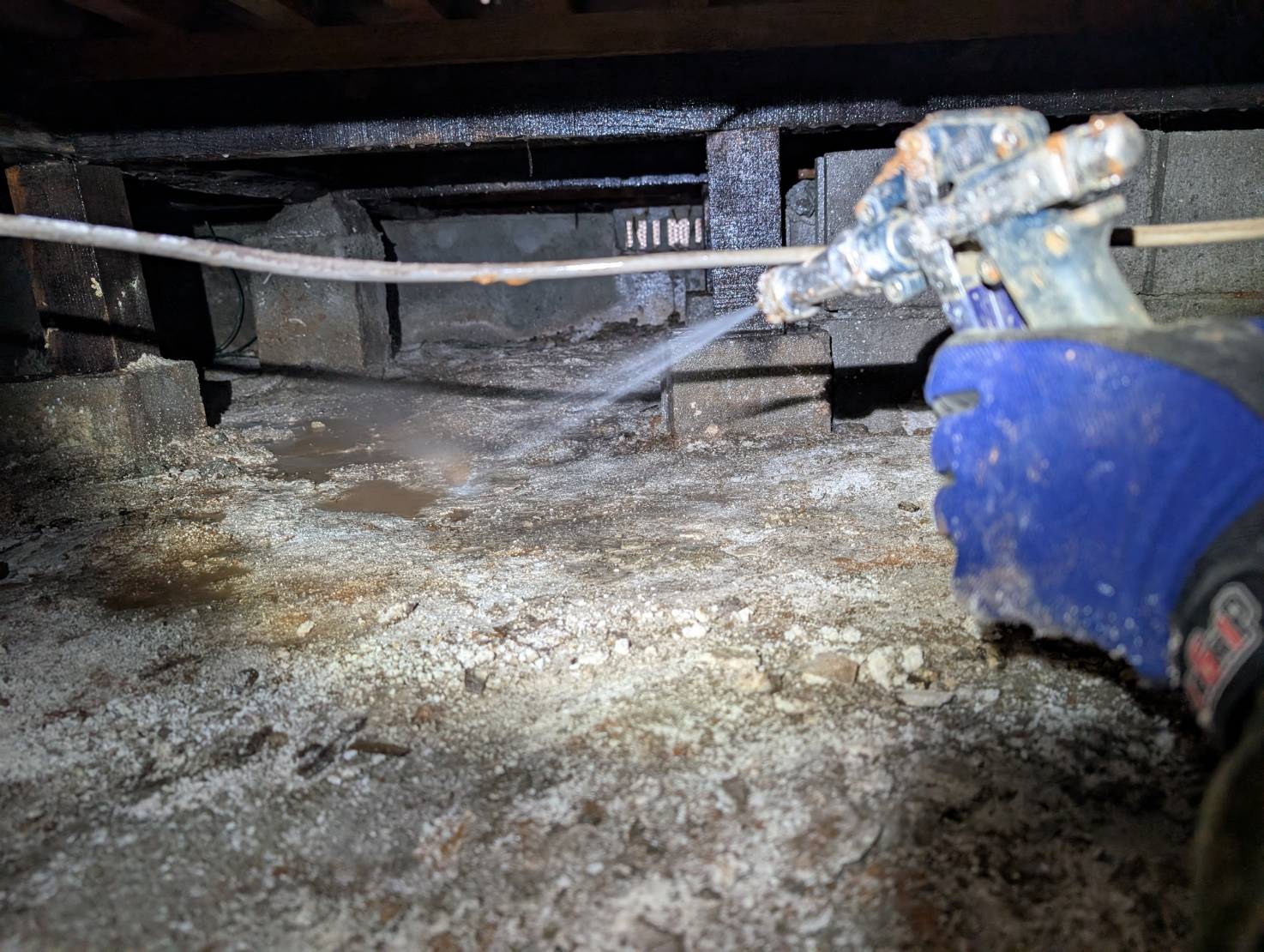 シロアリ駆除　八幡西区