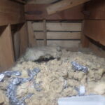 【福岡市東区】イタチ被害とその対策、業者依頼のポイント