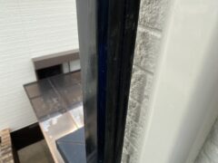 イタチ駆除　北九州市