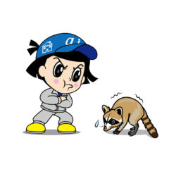 アライグマ被害　豊前市