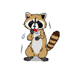 アライグマ駆除 保健所