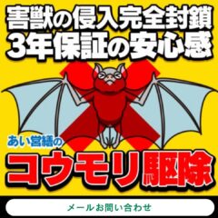 コウモリ駆除　メールお問い合わせ
