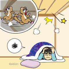 イタチ駆除 古賀市