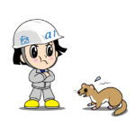 【上毛町】イタチ駆除、天井から物音がする…それ、イタチやアライグマかもしれません。