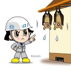 門司区 コウモリ駆除