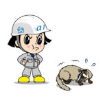 ハクビシン対策