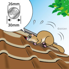 イタチ駆除 中間市