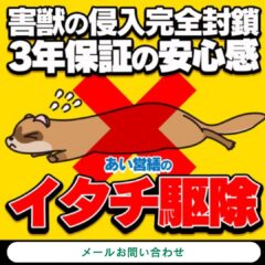 イタチ駆除　メールお問い合わせ