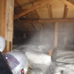 自力でイタチ駆除するなら消毒は絶対しよう！理由と手順