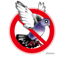 ハト マンション 飯塚市