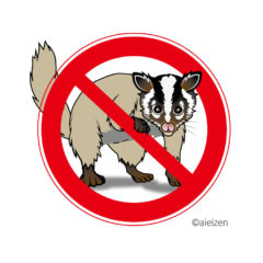 ハクビシン寄せ付けない方法