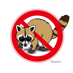 アライグマ駆除 大野城市