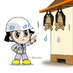 コウモリ駆除自分で